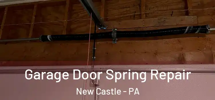  Garage Door Spring Repair New Castle - PA