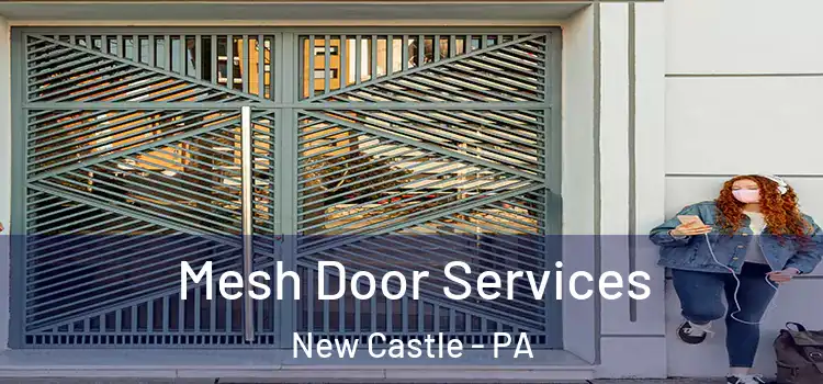  Mesh Door Services New Castle - PA