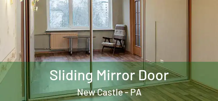  Sliding Mirror Door New Castle - PA